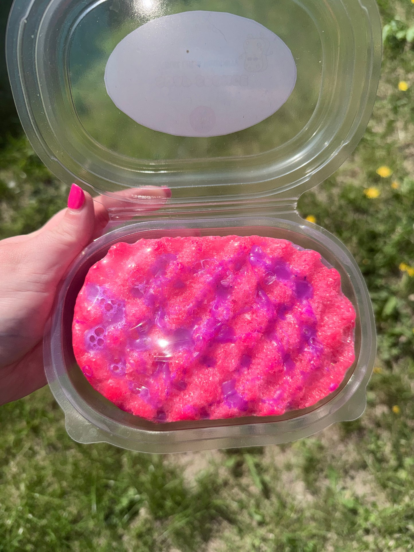 Soap Sponge - Soap infused Sponge